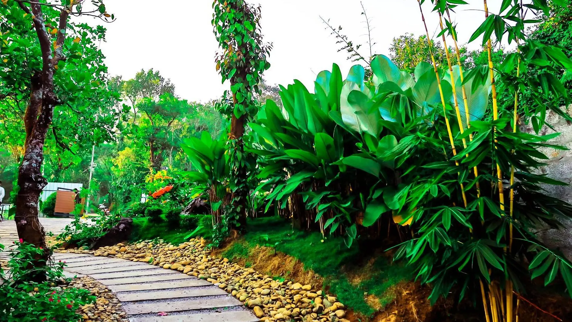 La Vista Resorts Wayanad