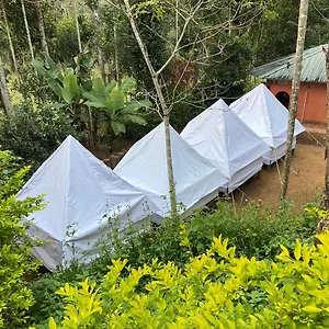 Plantation Tent And Swimming Pool Wayanad